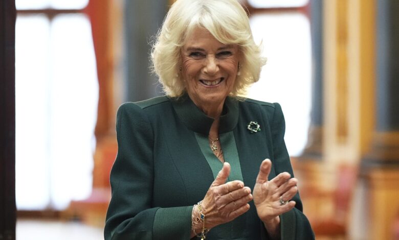 Queen Camilla will skip Royal Variety Performance as she recovers from chest infection Queen Camilla will skip Royal Variety Performance as she recovers from chest infection