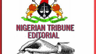 Chidimma Adetshina’s success story – Tribune Online