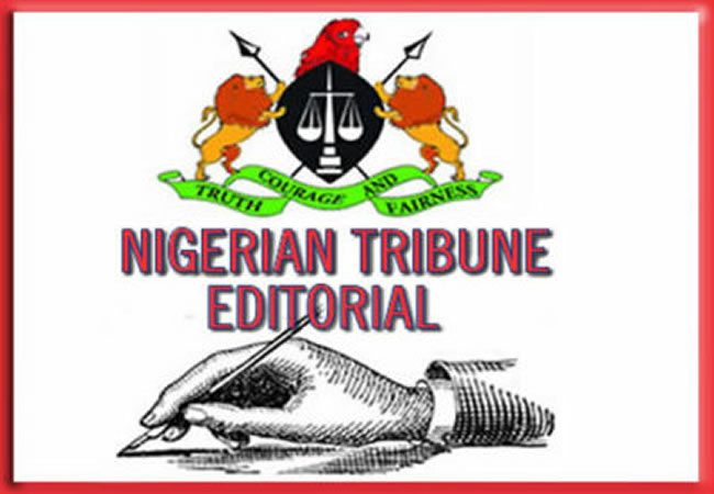 Chidimma Adetshina’s success story – Tribune Online Chidimma Adetshina’s success story – Tribune Online